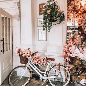 Meet your Posher, Gracie